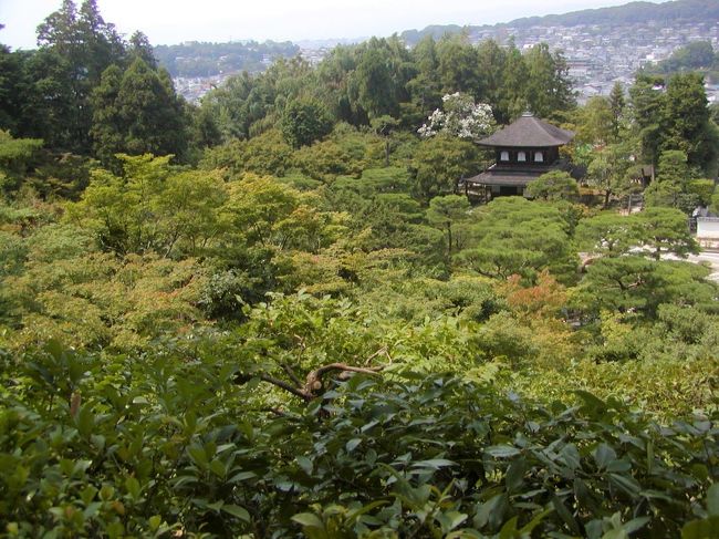 京都は中学の修学旅行先でしたが、毎日雨にたたられ殆ど何も覚えていません。やはり一度はちゃんと見てみたいということで、真夏の暑い盛りに２泊３日で行って来ました。暑い時期なら観光客もちょっとは少ないか、と期待して。混んではいましたがそれほどでもなく、まだバスや電車にも普通に乗れて、行っておいてよかったです。短い日程でいくつもまわれず、駆け足観光になりましたが、懐かしい夏の一コマです。<br /><br />２００７年<br />８月２６日（日）知恩院、清水寺、三十三間堂<br />　　２７日（月）平安神宮、銀閣寺、金閣寺、嵐山、嵯峨野<br />　　２８日（火）宇治平等院<br />