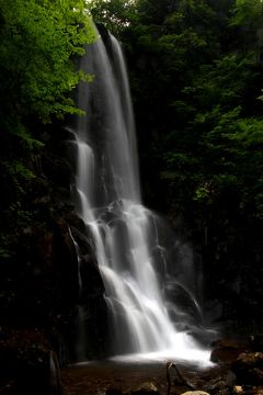 ◆秘境滝と岩沙参を求め会津下郷の三輪滝へ, Part２