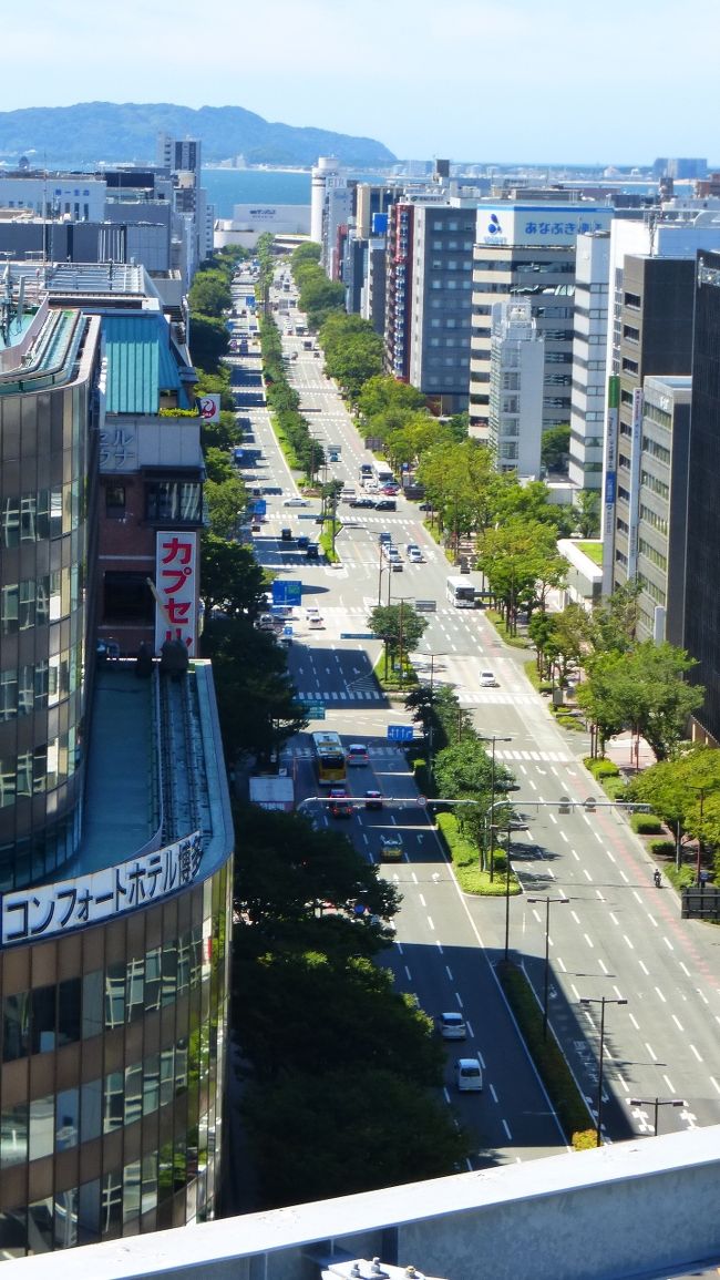 地元でお泊り〔Go Toトラベル利用〕として、8月1日~2日で、「三井ガーデンホテル福岡祇園」を利用したばかりでしたが、お盆終わりの土曜日泊なのに「アパホテル〈博多東比恵駅前〉」の宿泊料金が2,000円弱、福岡空港の新展望デッキが、8月7日に開業した事もあり、この福岡空港の新展望デッキを見に行く事を絡めて、地元でお泊り〔Go Toトラベル利用〕第二弾を行う事にしました。<br /><br />また、「アパホテル〈博多東比恵駅前〉」に泊まりたいと思ったのは、以前福岡空港を利用した際、福岡空港の旧暫定展望デッキから、「アパホテル〈博多東比恵駅前〉」がはっきり確認出来たのです。空港から見えるって事は、逆にホテルの部屋の窓(階数や向き、部屋の位置によりますが)から福岡空港が見られるはずなので、どのように見られるのか、それを確認したかったのです。<br /><br />「アパホテル〈博多東比恵駅前〉」 2020年2月7日(金)開業<br /><br />公式サイト:https://www.apahotel.com/hotel/kyushu/hakata-higashihie-ekimae/<br /><br />アパ会員公式サイト予約<br /><br />シングルルーム(約11平米) 1,918円(Go Toトラベル割引適用後料金)<br /><br />※アパホテルは、宿泊料金変動制ですが、私が泊まった日が特に安かったのです。<br /><br />福岡空港展望デッキ公式サイト:https://www.fukuoka-airport.jp/plaza_sougei.html<br /><br /><br /><br />JR博多シティ屋上庭園〔つばめの杜ひろば〕などを散策した時の様子です。<br /><br />屋上庭園公式サイト:https://www.jrhakatacity.com/tsubame/<br /><br />コメントは、一部を除いて省略させて頂きます。