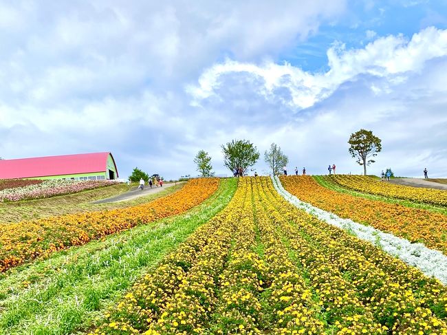 海外旅行に行けない今年は、いつか行ってみたかった「夏の北海道」。北海道へは何度か行ってるけど、真夏に道南以外に行くのは初めて。<br /><br />8月7日　伊丹→千歳　帯広、十勝川温泉泊<br />8月8日　十勝、オンネトー、摩周湖、硫黄山、阿寒湖畔泊<br />8月9日　釧路　釧路泊<br />8月10日　霧多布、厚岸、標津、斜里町泊<br />8月11日　知床　ウトロ泊<br />8月12日　知床、網走　網走泊<br />8月13日　黒岳　大雪山国立公園泊<br />8月14日　旭岳、旭川、美瑛　大雪山公園泊<br />8月15日　美瑛、富良野、登別温泉泊<br />8月16日　登別温泉　千歳→伊丹<br /><br />8月15日、旅の9日目。本日は旭岳から登別温泉までの大移動。でもドライブだけでは勿体ないので、色々と立ち寄りたい箇所多し。まずは2～3の展望台、次に色彩の丘、富良野ワイン工場、続いて富良野マルシェ、最後にニングルテラス。高速で登別温泉に到着したのは17時頃だった。ハードな1日だった。