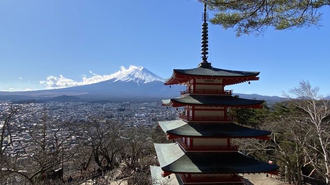 フランス在住の夫婦の旅行記。<br /><br />2020年1月、コロナはまだ他人事と思っていたあの頃。。。<br />日本に一時帰国の際に、<br />ここ数年日本人以外に大人気のスポット、<br />フランスでもよく日本紹介の際の表紙になっている<br />新倉富士浅間神社に行ってきました。<br />「にいくらふじあさまじんじゃ」と読んでいましたが、<br />「あらくらふじせんげんじんじゃ」です。<br />自分の不勉強、というか日本人としての常識不足に猛反省。<br /><br />それにしても日本が誇れる絶景ですね！<br />この頃、日本のニュースで武漢でのウィルスが報道されて、<br />大陸からの観光客はそれほどいませんでしたが、<br />東南アジアと思われる人たちでまだまだいっぱいでした。<br /><br />下吉田駅が最寄駅ですが降りた人の殆どが日本人以外でした。<br />