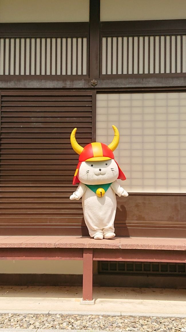 伊勢神宮から帰るだけではもったいない<br />けど名古屋は感染怖いし京阪神も<br />その時まだ滋賀に行ったことないと思い、行くなら国宝彦根城<br />早速移動