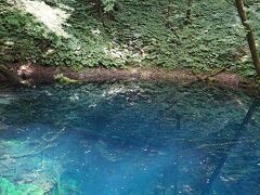 梅雨明けまだか？それでも行く東北行脚２　白神山地と男鹿半島