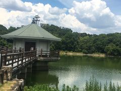 夏の山田池公園ウォーキング