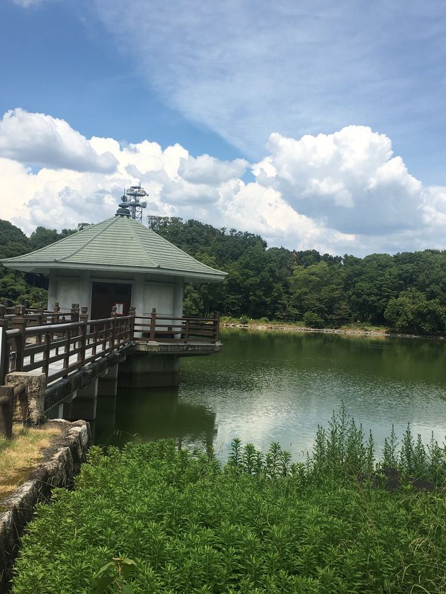 大阪府営の枚方市　山田池公園にウォーキングしてきました。<br />公園はバードウォッチングや釣り人の客の　憩いの場になってます。<br />真夏日も炎天下の中　暑くて倒れるかなと思いましたが、木陰のある道も多く　日傘と濡れタオルを持って歩けば　快適に歩けました。<br />専用駐車場は はじめの1時間は400円  後は1時間おきに100円ずつ徴収されるシステムになっていてると思います。<br />