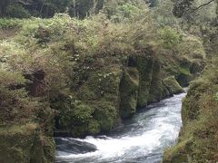 自然・動植物