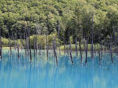 北海道　美瑛　青い池へ