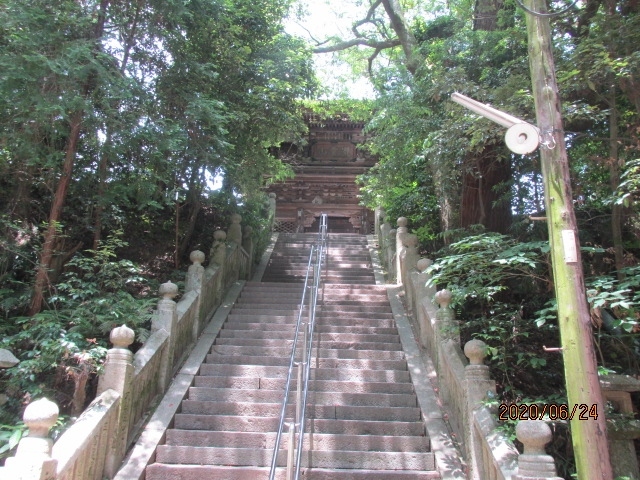 四国霊場五十一番石手寺から次の霊場太山寺へは一山超えた海に近い場所にあり、山越えの１０数キロを走破しなければならない。先刻石手寺の裏山の森の中に消えて行った歩き遍路は、今頃はどの辺りを歩いているのだろう。コロナ禍で参拝者も巡礼者もガクンと減っている今、山中で行き交う巡礼者もいないだろう。一人何を思い、何を想起し、薄暗い山中を歩いているのだろう。ローソン駐車場から改めて石手寺の森を眺め、次の太山寺に向かった。<br /><br />松山の巡礼道は山中の久万高原にある岩屋寺から、山を下り降りて平地の浄瑠璃寺からは市内の平地を順番に進んで行くのだが、寺と寺の間には、小さな小山や峰があって、歩き遍路の人は、そうした山中を上り下りして行かなければならない。石手寺から先は海岸に沿って、今治まで進んで行くのだが、この太山寺辺りからは、霊場は瀬戸内の海に近い場所に建っている。太山寺はその手始めのお寺になるのだ。<br /><br />車は一旦松山港の近くに出て、その背後にある山に向かう。海に近い寺と言っても、境内はちょっとした山懐にある。ナビで示された駐車場に車を止めると、目の前に山門が建っている。普通山門があれば、その直ぐ先に境内と本堂が建っているのだが、この寺は、山門を潜ってから、更に又車道が延々と続き、境内直前の石段に達するまで、１０分程度は歩かなければならなかった。昨日大宝寺に参詣した時、同様の経験をして、駐車場から相当長い杉林の参道を歩き、最後の石段の直ぐ横に参詣者用の駐車場があったのが分かり、かなりがっかりしたが、この寺も山門横の駐車場から境内の石段までは随分と歩かされた。<br /><br />庫裏とか墓地とか畑とか、今は休業中の旅館宿坊等を通り過ぎると深い木立の中に入り、丁度その入り口付近にもう一か所の駐車場があって、本来ここまで車で来られたのだ。約５００ｍ、１０分位は損をした。その森のような木立の突き当りは鬱蒼とした林の中に神社の鳥居、沢山の石像、地蔵像、等が置かれていて、一種異様な感じの雰囲気だ。その正面に長い石段があって、上の方にちょっこり山門の一部が見える。漸くお寺にやってきた。