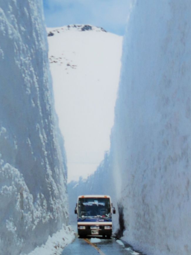 青空に映える、真っ白の雪の壁。<br />標高2,450mの立山室堂平は、世界でも有数の豪雪地帯。中でも室堂付近にある「大谷」は、吹きだまりになっているため特に積雪が多く、その深さは20mを超えることもあります。この「大谷」を通る道路を除雪してできる、高さ20mにも迫る巨大な雪の壁が「雪の大谷」です。<br />https://www.alpen-route.com/enjoy_navi/snow_otani/　より引用<br /><br />立山黒部アルペンルートは、標高3000m級の山々が連なる北アルプスを貫く世界でも有数の山岳観光ルート。<br />長野県大町市「扇沢駅」から富山県立山町「立山駅」までの総延長37.2km、最高地点2450ｍを、乗り物を乗り継ぎながら巡るため、どなたでも気軽に、雄大な自然や絶景をお楽しみいただくことができます。<br />https://www.kurobe-dam.com/kankou/alpine_vehicle.html　より引用<br /><br />立山黒部アルペンルート　については・・<br />https://www.alpen-route.com/index.php