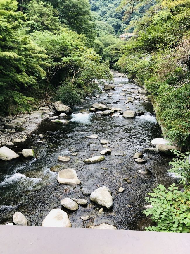 2020年夏　三密避けて温泉へ&#9832;︎箱根湯本《ホテル南風荘》②