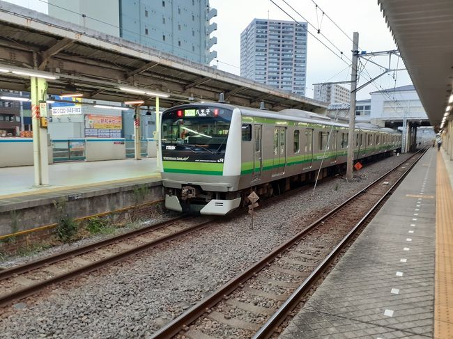 みなさん、こんにちは。<br />まるきゅーでございます。<br />本日は横浜に用事があり、時間に余裕もあったのでメガループの完乗に行ってきました。<br />是非最後までご覧ください。<br />表紙 自分で一番いいと思われるE233系6000番台<br />