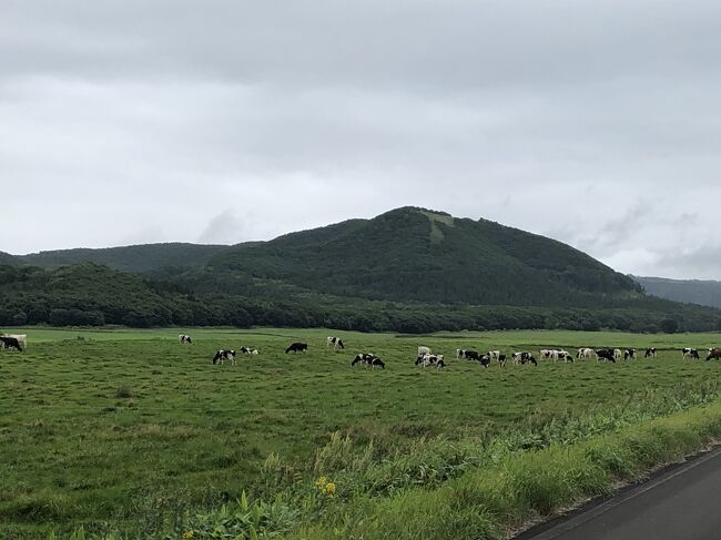北海道の北東に位置する知床半島。<br />流氷を起点とした食物連鎖が海-川-森の各生態系にわたるダイナミックな食物連鎖網を形成していることが評価され、2005年7月に世界自然遺産に登録されています。<br /><br />前回の北海道旅行で知床に恋して約10年。。。<br />ようやく念願の再訪が叶いました!<br /><br />今回のメインの目的はアイヌの人々が「キムンカムイ(山の神)」と呼ぶヒグマを見ることです。<br />(アイヌの人々は動物、植物はもちろん、道具類を含む世の中のすべてのものに魂(カムイ)が宿っていると考えていたそうです。シマフクロウはコタンコロカムイ(村の守り神)、シャチはレプンカムイ(沖の神))<br /><br />ヒグマ以外にも色々とアクティビティに参加して、4泊5日めいっぱい楽しみました♪<br /><br />**2日目は摩周湖周辺をプラプラ**