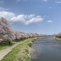 コロナ禍での墓参り 