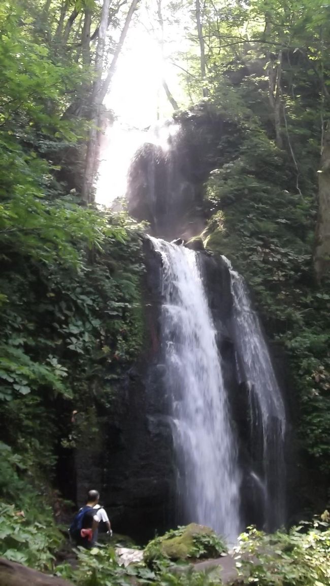 皆さん、今夏はいかがお過ごしでしょうか? わが家は3年ぶりに海外と考えていましたが……<br />代わりに青森・函館の旅に。長い間あちこち歩いていますが、泊まったことがない県や通過したことさえない県がいくつかあります。青森県もそのひとつ、八甲田山に登っただけ(><)<br />十和田湖と奥入瀬渓流を中心に歩いてみました。お天気ですが、暑いというほどではなく、夏はやはり北東北(か北海道)と思いました。<br />初北海道新幹線で久々の函館に。