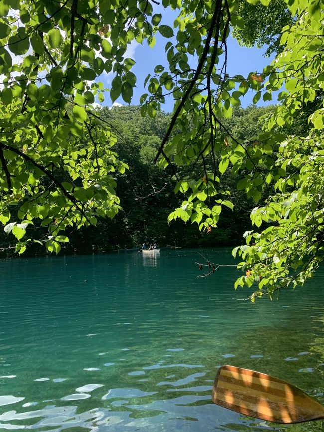 待ちに待った夏休み&#10084;️<br />しかしこのコロナ禍の中　果たしてどーするべきか…<br />GOTOキャンペーンも始まり<br />GOなのか…STAYなのか…<br />二転三転した行き先…<br />こんなに悩んだ旅計画は初めてです<br /><br />コロナ禍の旅行<br />『正しくおそれる』<br />　その言葉がしっくりときたような気がして<br />コロナ対策をして旅立つことにしました<br /><br />行き先は悩みに悩んで青森県<br />密を避けて自然と遊んできました<br /><br />２日目は「カヌーガールになる」です