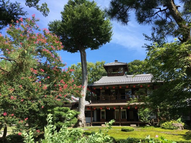 真夏の京都。<br />京都へ行くにあたってまず『糺の森』に惹かれたことにより、さらに思いもよらないステキな所も見つけました。それが『旧三井家下鴨別邸』。そしてそこで喫茶も出来るし、“期間限定特別メニュー”もあることを発見。コレよ、コレ。京都らしい体験ができるではないですか！<br />その上ここは鴨川デルタの近くであることも発見。“ブラタモリ”的好奇心発動。デルタも見物することに。ドラマなどで有名だと知ったのは旅行後でした。<br /><br />当日は朝９時で既に気温30度。バスに乗っていても日が当たる側に座ってしまったので、肌にジリジリ来ました。<br />暑いだろうを見込み、麻のゆったりめの半袖ワンピースを着て行きました。<br />日傘も、携帯扇風機（スマホ型）も持っていって大正解。<br />足元は足の甲が日焼けすると後が辛いので普通にコンバースを履いています。<br /><br />バスはバス一日券を購入。600円。<br />鴨川デルタは無料（笑）<br />旧三井家下鴨別邸は通常なら500円。今回は二階の特別公開期間なので700円。ここにおけるお菓子と冷茶の体験料（オプション。予約制）が800円。<br /><br />『鴨川デルタ』は、この記事がお勧め→京都随一、水辺の行楽地『鴨川デルタ』の記憶（www.nikkei.comの記事）https://www.nikkei.com/article/DGXMZO47728320U9A720C1AA1P00/<br />旧三井家下鴨別邸（三井広報委員会www.mitsuipr.comさん。）https://www.mitsuipr.com/sights/historic-places/10/<br />お菓子と冷茶体験は8月31日までの期間限定イベント。今回初の試みだったそう。また開催があったら行きたい！。（ ja.kyoto.travelさん）https://ja.kyoto.travel/event/single.php?event_id=3902<br /><br /><br /><br /><br /><br />