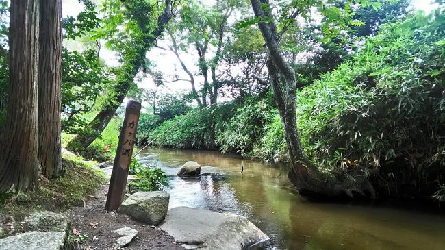 今回も東北地方近場の旅。<br />岩手県はずいぶん昔に平泉にちょっと立ち寄った程度。<br />残った青春18きっぷの消化もかねて、のんびり在来線で遠野、盛岡、平泉を巡ることにしました。<br />