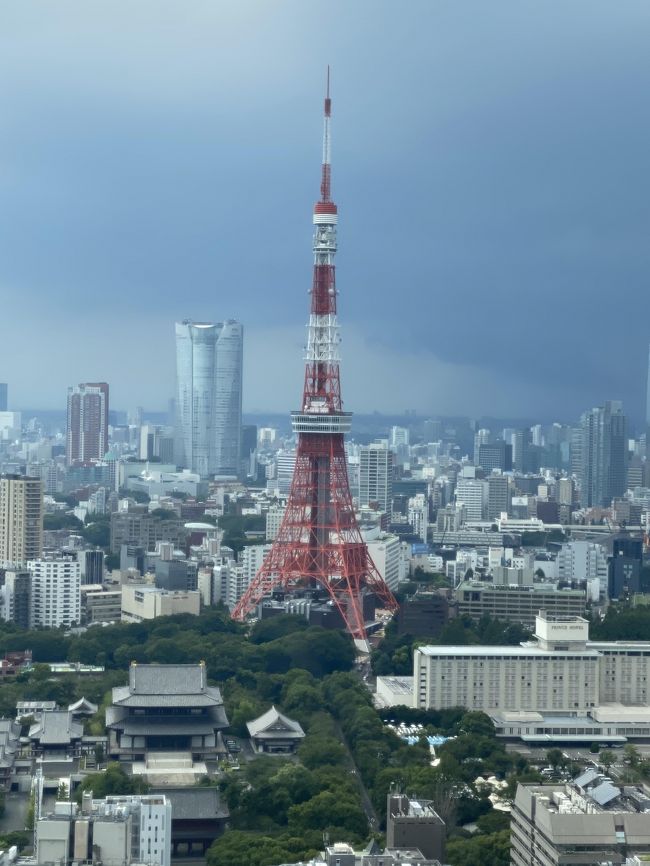 夏休みも早半ばとなりました。<br />日に日に疲れを感じるようになってきましたが、ここまで来れば意地でも出かける意志の方が強くなり、しんどい身体に鞭を打ってこの日も出掛けてきました。<br />向かったのは浜松町。<br />もうすぐ取り壊される世界貿易センタービルからの景色をこの目に焼き付けておこうと思います。<br />その後は定番ですが、増上寺、泉岳寺と周って、最後は新しく開業した高輪ゲートウェイ駅に行ってきました。