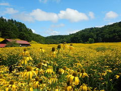 Go To 道東。川湯温泉から根室そして霧多布へ。納沙布岬到達で東も制覇。