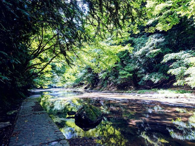 今年はコロナで沖縄にも北海道に行けず、知事が観光客ウェルカムと言っている千葉県南房総へ8月26日から8月27日まで、1泊2日でプチ旅行に行って来ました。<br /><br />初日は、鋸南の大山千枚田で日本の農村の元風景を見て、平砂浦で素敵なサンセットを見て、南館山のオーベルジュオーパヴィラージュで南フランス気分を味わって来ました。<br /><br />今回は2日目の旅行記です。<br /><br />フランス料理のオーベルジュでの絶品朝食を食べ、そのあと、野島崎灯台に登り、海沿いをドライブし、養老渓谷の粟又の滝ハイキングコースを回ってきました。