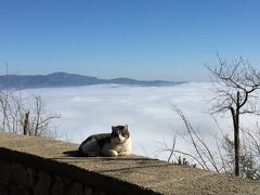 スペインバルセロナ旅行② 2016/1/25-2/2 モンセラート①