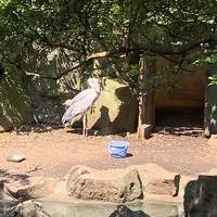 伊豆シャボテン動物公園を満喫する旅2