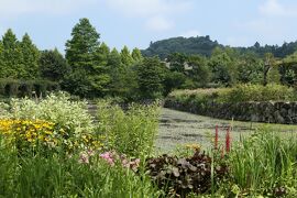 軽井沢の優雅な避暑♪　Vol.18　☆軽井沢レイクガーデン　盛夏の花風景♪