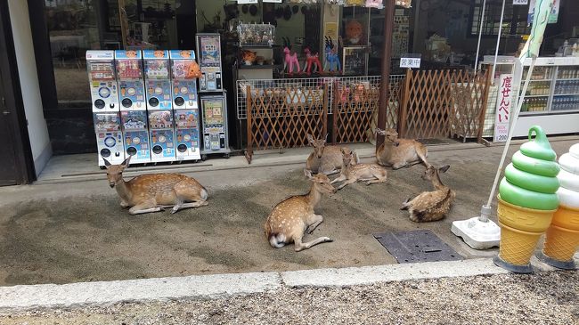 一泊二日 奈良へ 春日大社  奈良公園 若草山  あんどホテル