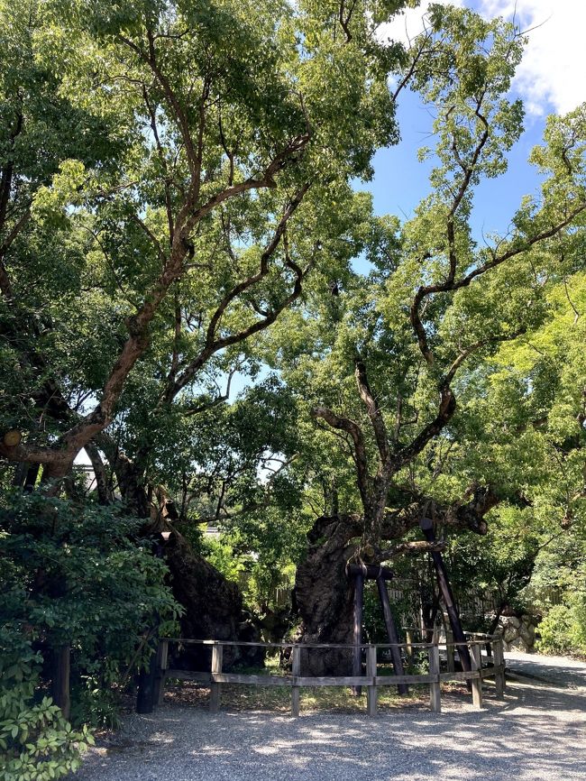 伊勢・二見浦への旅（その２☆伊勢神宮外宮編）