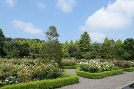 軽井沢の優雅な避暑♪　Vol.25　☆軽井沢レイクガーデン　盛夏の花風景♪