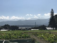 目指せ原付でわんこ寺