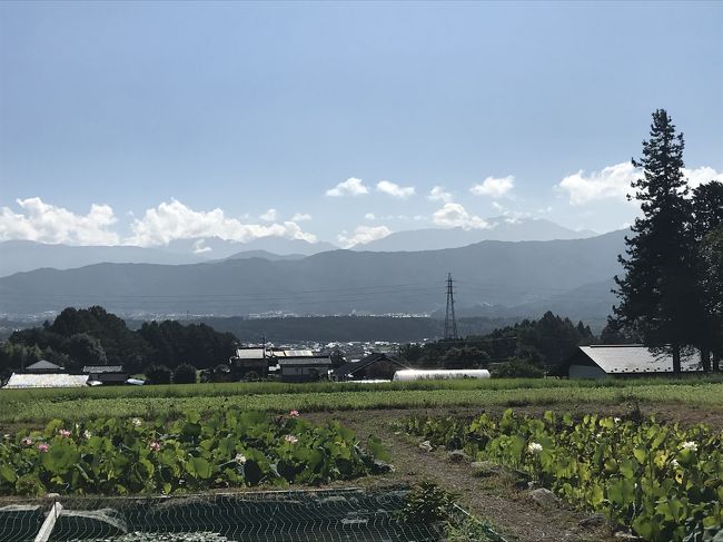 8月28日から4日間、ちょっと遅い夏休みを取りました。28日、29日の二日間、かーちゃんから許可が出たので相棒のすずきちゃん2号でどこに出かけようか悩んだ末、都心を通過しなくても行ける長野方面へと足を伸ばすことにしました。<br /><br /><交通機関><br />すずきちゃん2号。スズキのアドレスV100という100ccの原付2種スクーター。某オクで2万円でゲットし全て自分で修理、整備したもうすぐ20年選手。6月にエンジン載せ替え済み。<br />バイクブログ<br />https://superdio.exblog.jp/<br /><br /><御朱印><br />頂いた御朱印はいつものところで公開予定です。<br />http://haachan55.blog.fc2.com/<br /><br />