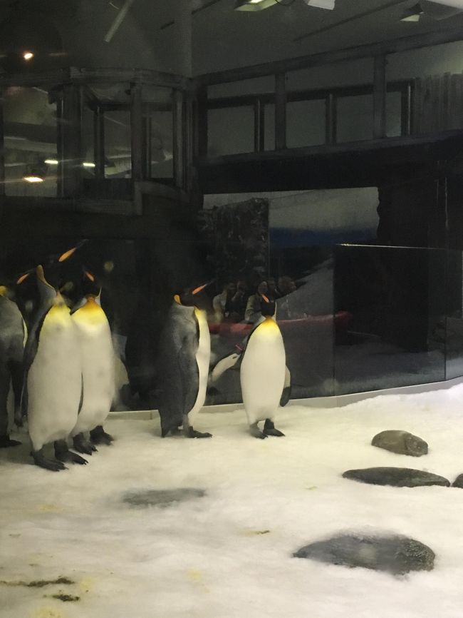 ＜今回＞　水族館＆ハーバー散策