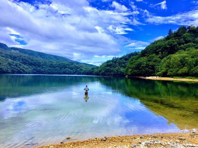 2020年の夏、若草色の奥日光　後半は金精峠を越えて、群馬県の丸沼高原です。涼し過ぎて肌寒いぐらいです。<br />麓が35℃を越える猛暑日でも、ここでは囲炉裏の火を心地よく感じてしまう程でした。<br />