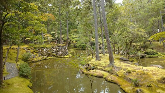 京都の主だった寺社仏閣で午前中にだけいただける朝御朱印が始まりました。苔寺や鈴虫寺、京都迎賓館にも行きました。