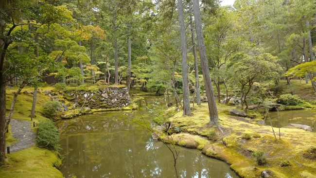 京都の主だった寺社仏閣で午前中にだけいただける朝御朱印が始まりました。苔寺や鈴虫寺、京都迎賓館にも行きました。