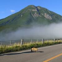 知床一人旅2020