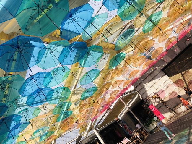2020年(本来であれば東京五輪)コロナの夏、暑かったですねえ。<br />酷暑の山陰へ行ってまいりました。<br /><br />コロナのせいで海外に行けなくなり、こうなったら娘47都道府県コンプしてしまおうかという方向に舵を切りました。<br />山陰なんて子どもが楽しめるところあるの?<br />と地味すぎていまいち知られてないエリアかもしれませんが、本数の少ない公共機関をフル活用して行ってまいりました。<br /><br />まずは島根県。<br />私自身は2007年以来2度目で、当時旅行記も書いてないし、記憶も薄れてるしで、気持ちだけはまっさら。<br />観光客に対して積極的に踏み込んでこないのが青森県そっくりで、これは好みが分かれる大きなポイントだと思っています。<br /><br />【旅程】<br />★①羽田8:40発ANA→萩・岩見10:10着<br /> 益田→浜田→江津→温泉津<br />★②温泉津→仁万→出雲→松江→鳥取<br /> ③鳥取15:00発ANA→羽田16:15着<br /><br />【費用】母子で総合計57,900円<br />◆飛行機:15,390円<br /> 羽田→萩・石見 特典7500マイル×2名<br /> 鳥取→羽田 1人は特典7500マイル、1人はANAスーパーバリュー15,390円<br />◆現地交通費:9000円<br />◆宿:2泊で13,230円<br /> 温泉津:旅の宿輝雲荘7,700円(楽天トラベルより予約)<br /> 鳥取:5,530円(じゃらんより予約)<br />◆観光:8,780円<br />◆食費:約11,500円
