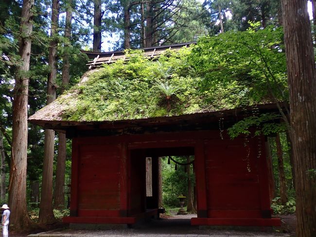 朝から強い風が出ていましたので野尻湖を周遊してから戸隠神社の参拝に行きました。<br />「中社」→「日之御子社」→「宝光社」→「奥社」<br />の順に回りました。<br />奥社以外はそれほど人はいませんでした。<br />「鏡池」は戸隠が望める良い休憩ポイントです。<br />中社の下のある戸隠の村？街？は趣のある宿や店が多くゆっくり歩くのも良いかもしれません。