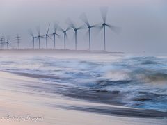 海霧のウィンド・ファーム　～風の表現を求めて～