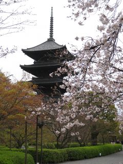 今年のお花見は古都・奈良と京都で楽しむぞ～京都編五・六日目　いよいよ帰宅