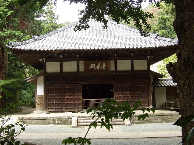 　北鎌倉にある金寶山浄智寺（https://4travel.jp/travelogue/10485789）は臨済宗円覚寺派のお寺で鎌倉五山第4位に列している。<br />　本堂の「曇華殿(どんげでん)」にはご本尊の阿弥陀如来、釈迦如来、弥勒如来が安置されている。それぞれ過去・現世・未来の三世に渡って人々の願いを聞き入れてくださるというありがたい三世仏坐像である。<br />　なお、源頼朝が創建した永福寺には阿弥陀堂、二階堂、薬師堂の三堂が建ち、二階堂は釈迦堂であった。すなわち、時代が下って薬師如来が弥勒如来に替わっている。<br />　曇華殿前には３本の「ビャクシン」が聳え、市の天然記念物になっている。また、曇華殿横には高野槙が植えられている。しかし、何と言っても浄智寺由来といえば四方竹である。曇華殿裏手には四方竹の竹林がある。<br />　鐘楼門から曇華殿までは道路沿いの塀が取り払われて解放的になっている。これは昨年の台風で被害を受けたから取り去ったのであろうか？<br />　なお、公式ホームページに掲載されている境内図には茶室が記載されている。これまでに何度も行ったが気が付かなかった。おそらくは立入禁止区域にあるのだろう。山門横の駐車場や奥の墓地前に井戸と横井戸があり、甘露井、甘露水がある浄智寺であるから茶室はあってしかるべきである。<br />（表紙写真は浄智寺曇華殿(どんげでん)）