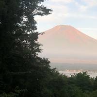 コロナ対策してひまわり畑と二度目の山中湖オーベルジュと初めての御殿場アウトレット