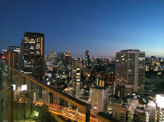 旅行に行けないのでホテルステイしてきました。