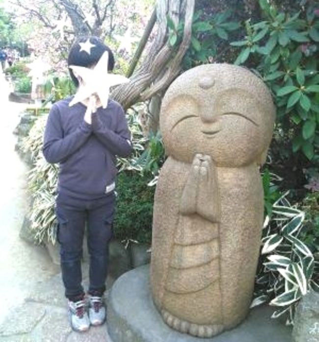 2018年3月31日~4月1日<br />小5次男と夫が江ノ島の謎解きイベントに行くというので、改修後の小田原城も見に行こう!ちょうど桜もきれいだよ!と1泊2日の旅へ。<br />高1長男はお留守番。<br />