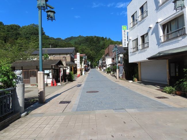 八王子滞在記 2020/08/23/-09/09<br /><br />・市内の風景:会席料理 なか安 八王子 2020/08/23<br />・餃子の王将 八王子店の餃子定食・唐揚げ・ 八王子 2020/08/25<br />・スシロー長沼店 八王子 2020/09/02<br />・姉宅で食事 府中 2020/09/05<br />・心地よい風を受けながら高尾山の麓まで、早朝ポタリング 2020/09/09<br />・タンタンの八王子拉麺 八王子 2020/09/09