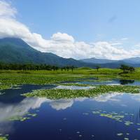 2020年8月旅　Go To 北海道 道東の旅（3～4日目：知床ネイチャーウォーク～北こぶし知床ステイ～女満別空港）