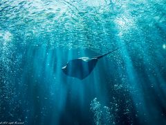 水族館で写真撮影会