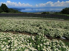 箱館山山頂にロープウエーとリフトを乗り継いで来てみれば、そこはパラダイス♪