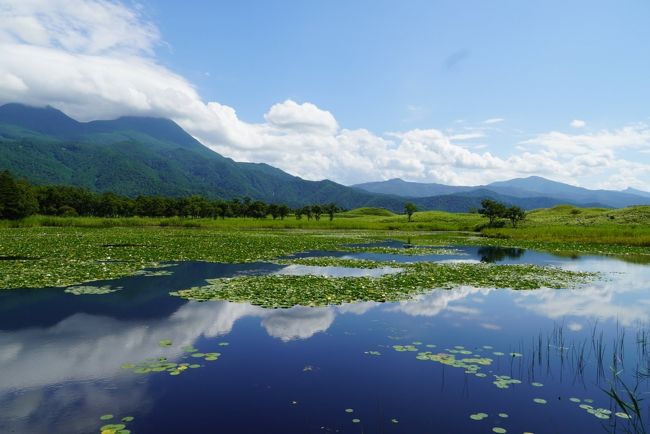 2020年8月旅　Go To 北海道 道東の旅（3～4日目：知床ネイチャーウォーク～北こぶし知床ステイ～女満別空港）